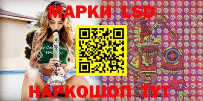 apvp Канаш