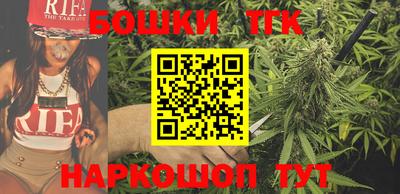apvp Канаш