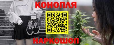 spice Камышлов