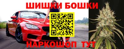 spice Камышлов