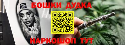 spice Камышлов