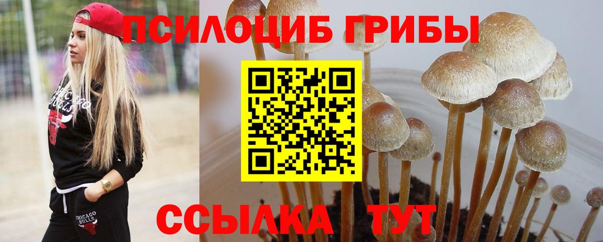 закладка  Вход с VPN  Геленджик  Псилоцибиновые грибы Magic Shrooms 